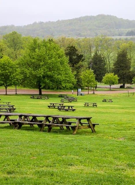 Picnic tables overlooking vineyards at Arrington Vineyards.