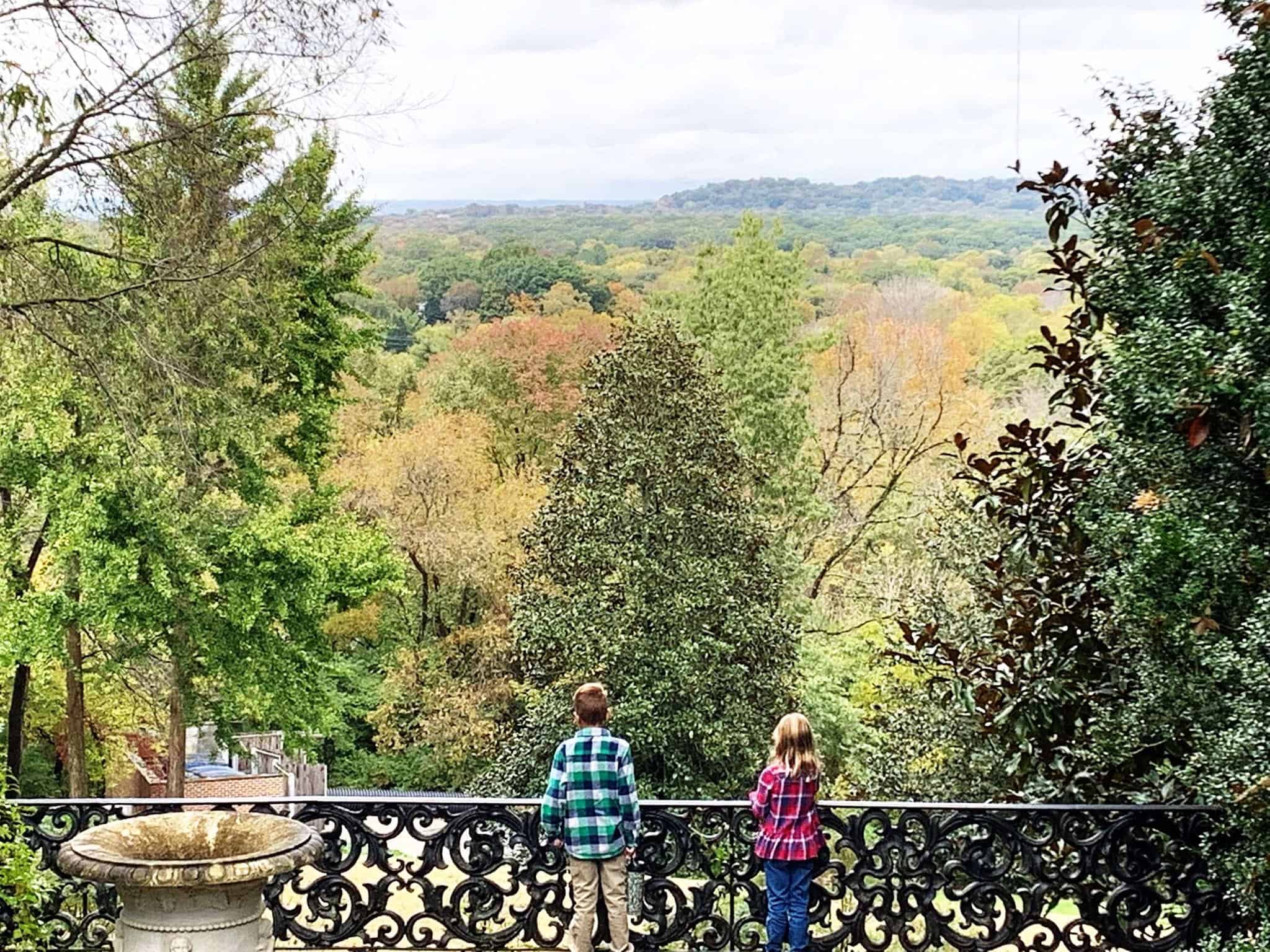 Two kids overlooking beautiful green trees from a balcony at Cheekwood Gardens.