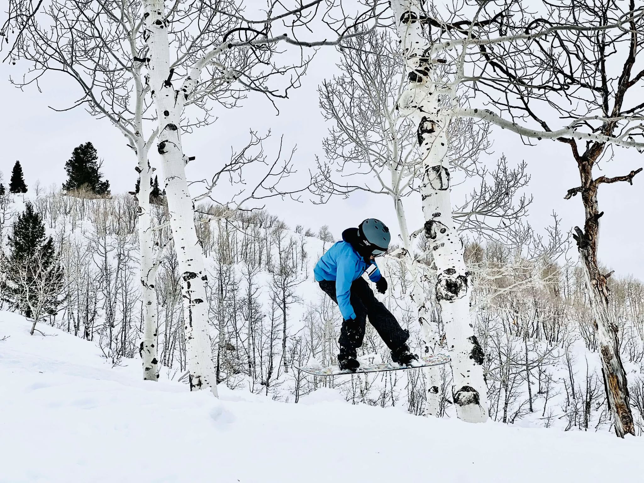 A 12 year old boy in a blue jacket with a background of white birch trees and white snow doing a jump mid-air on a family snowboarding trip to Snowbasin Ski Resort.