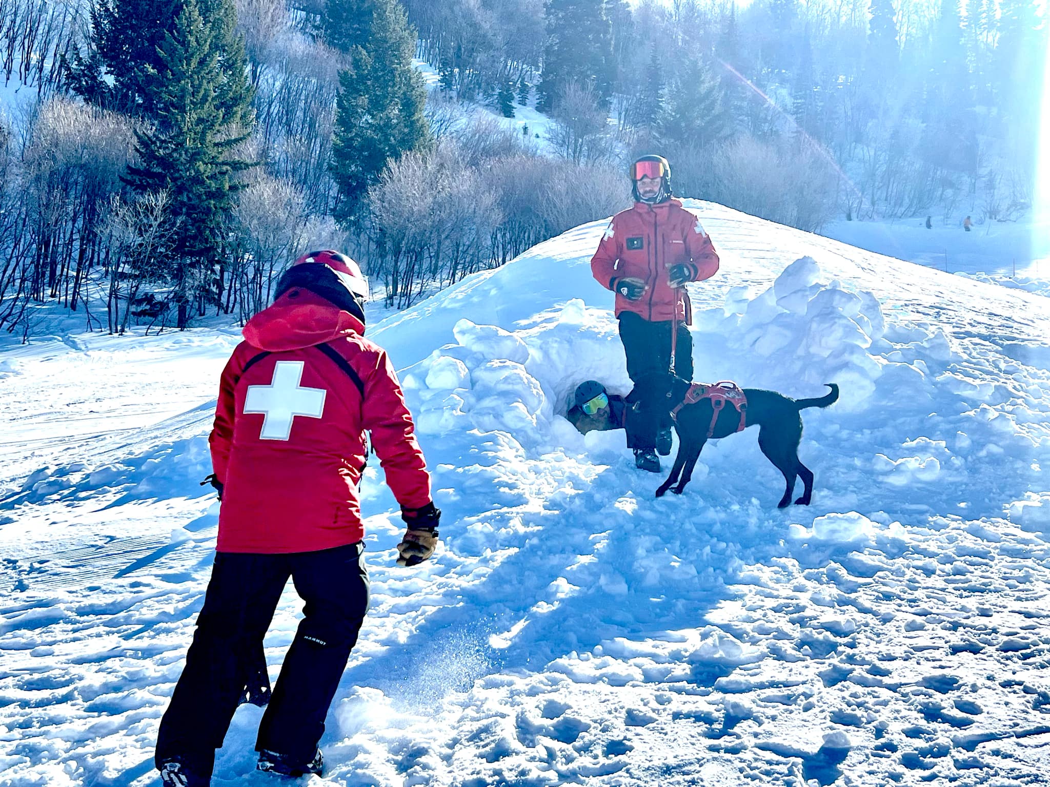 The rescue team demonstrating an avalanche rescue with their rescue dog at Snowbasin.