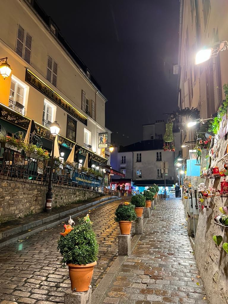 A view of one of the more lively streets of Montmartre at night. The street is lined with pretty flowers and cafes.