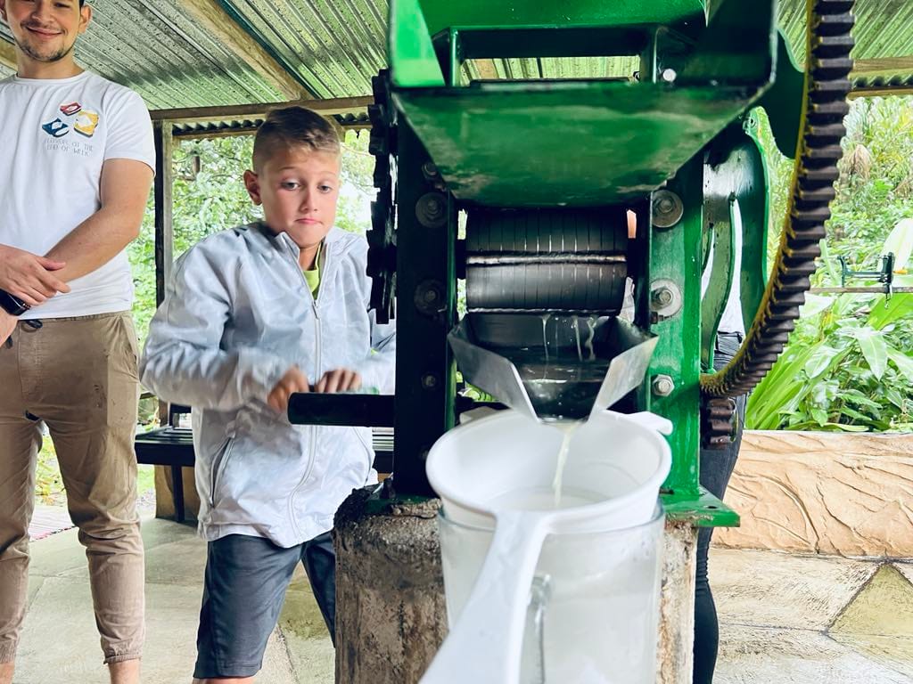 A little boy working a green sugar cane machine to make sugar cane juice.