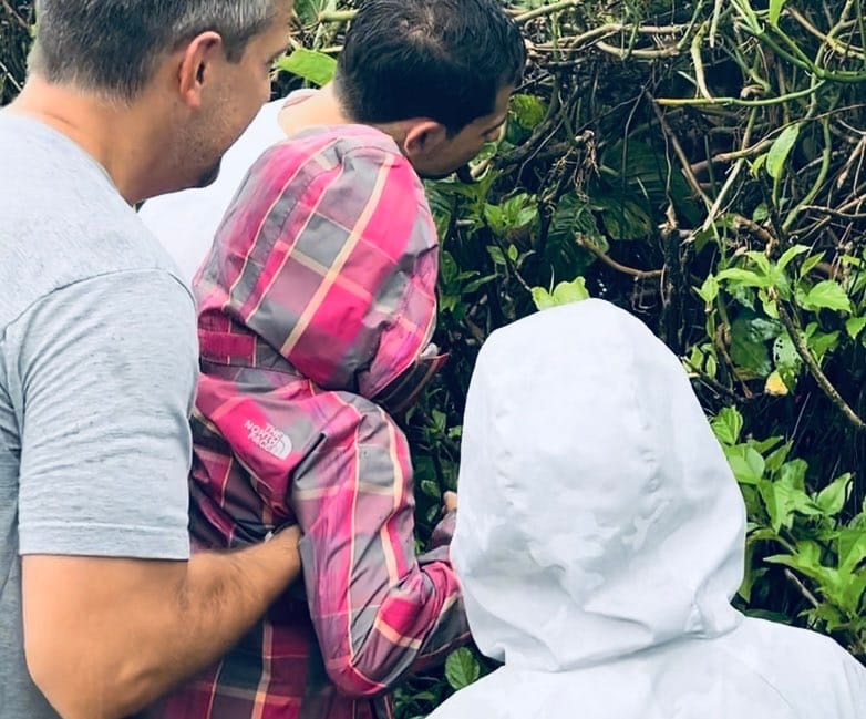 A tour guide, a dad holding a little girl in a pink rain jacket, and a boy in a white rain jacket looking for the sloth in the hedges while on their Costa Rica with Kids trip.