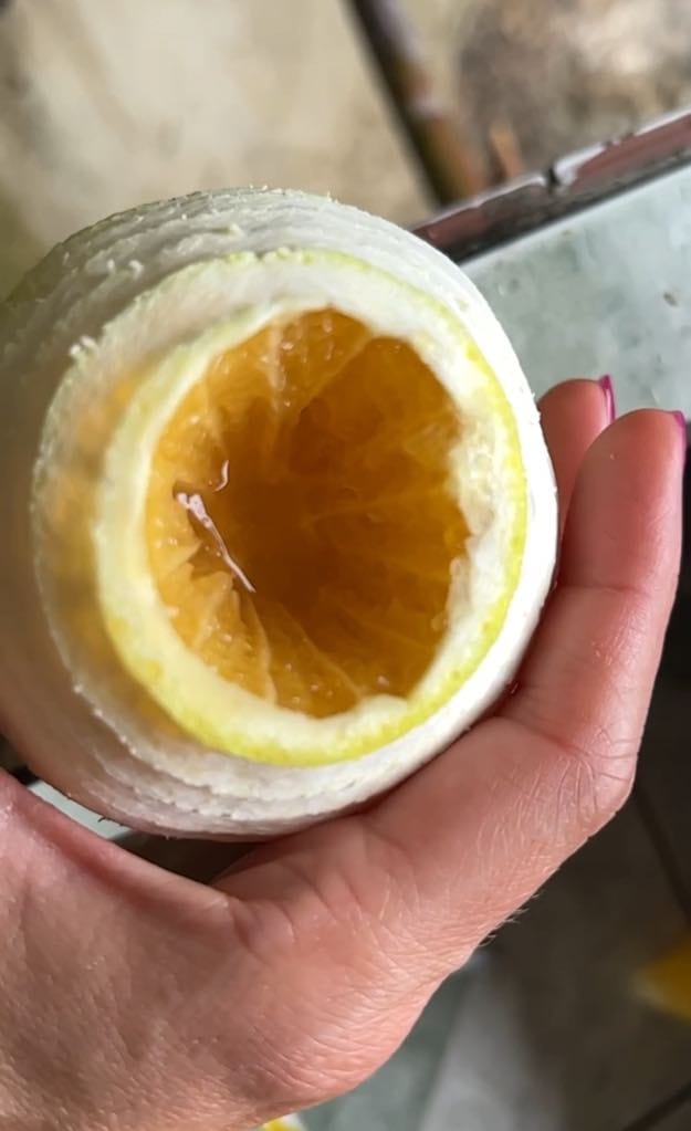 The inside of an orange that has been peeled and ready to drink.