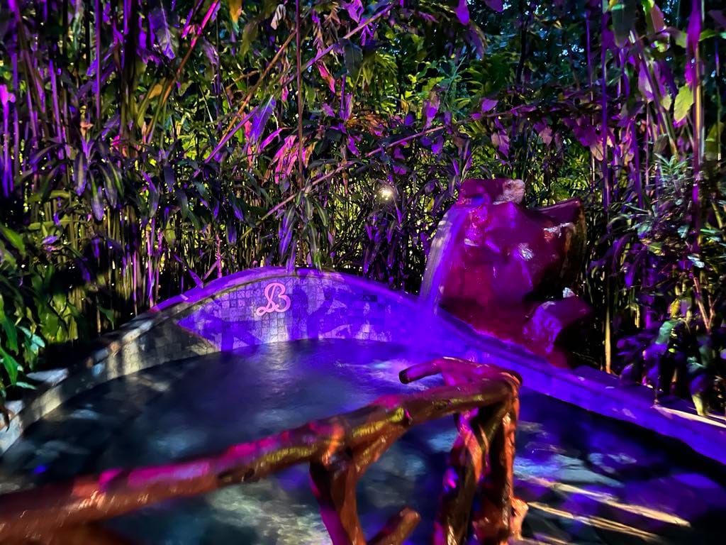 Beautiful night time view of one of the Baldi hot springs. The water is blue and there is a purple light that is lighting up the flowers around it.