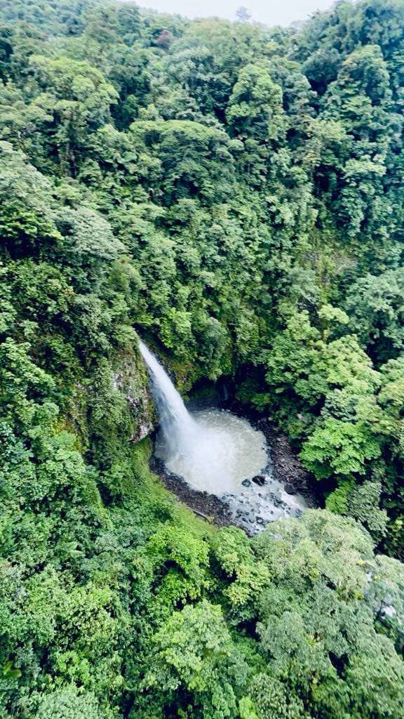 Waterfall in the Costa Rica rainforest.