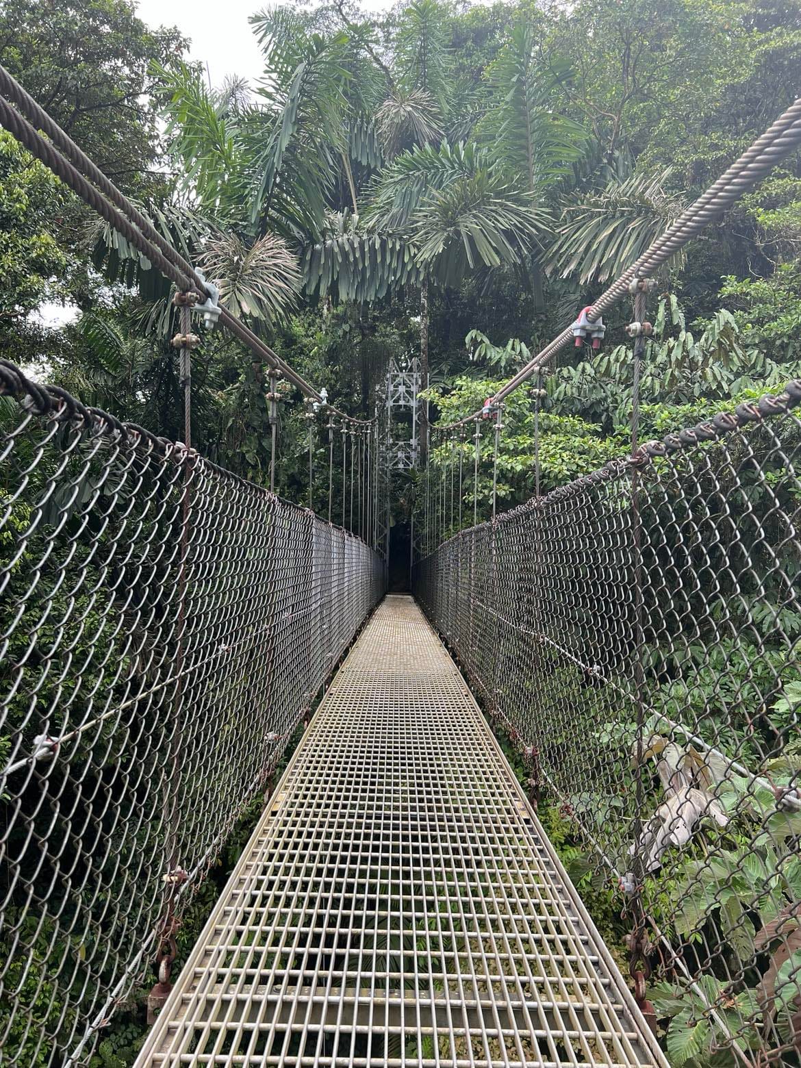 A view of one of the hanging bridges while on the hanging bridge.