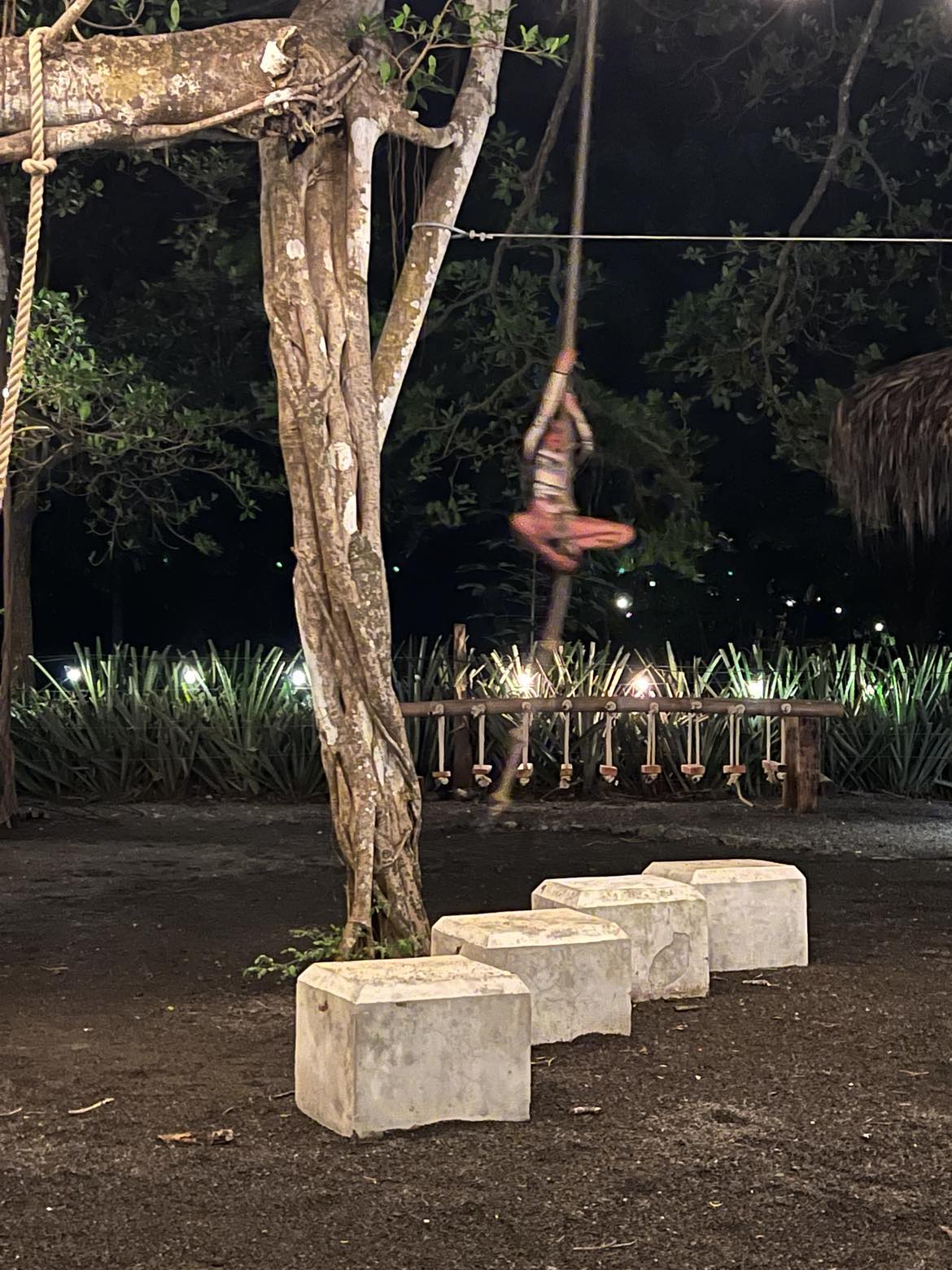 Little girl flying through the air on a rope at this outdoor restaurant.
