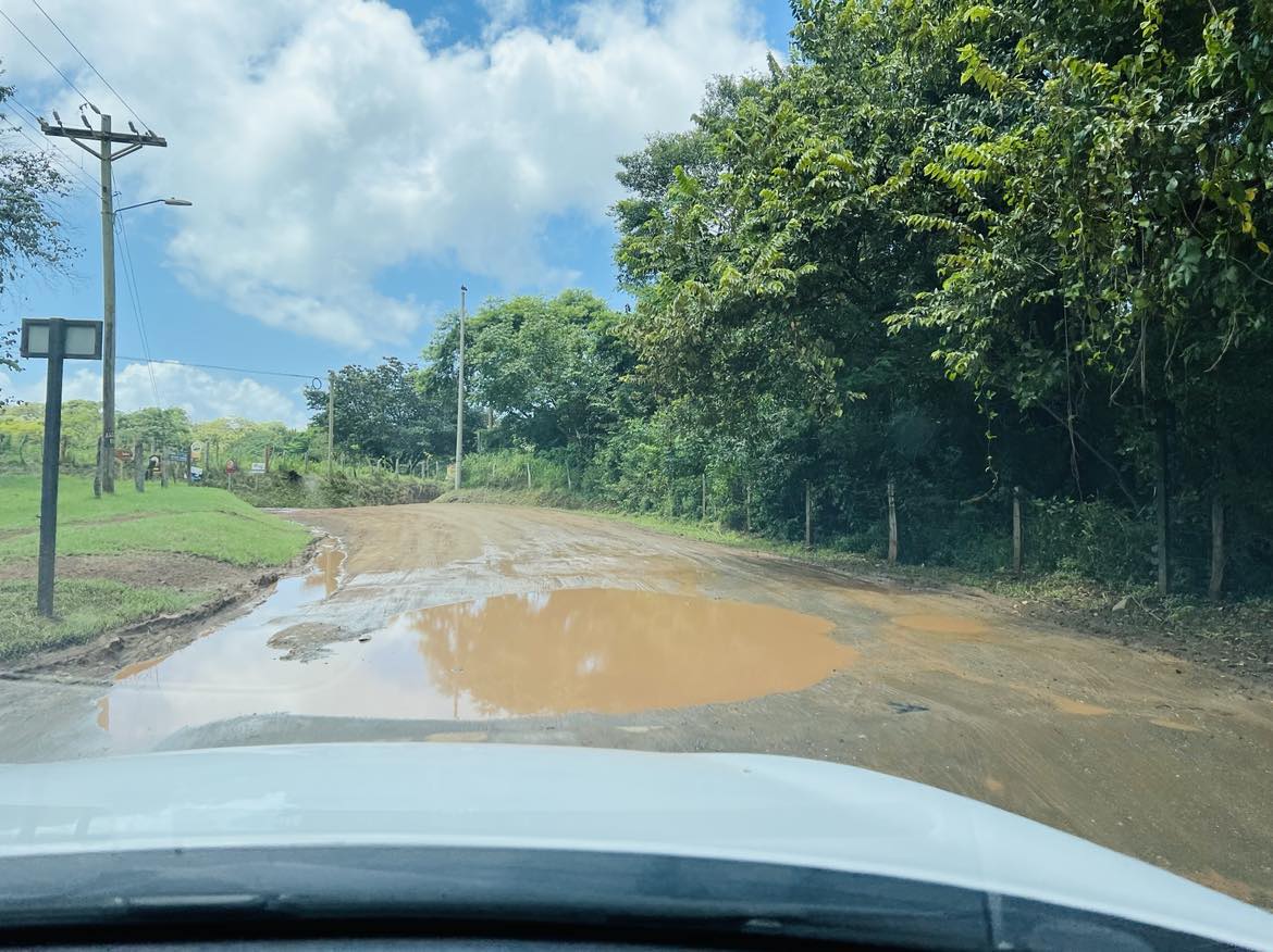 A view of the mud road and the big potholes filled with water.