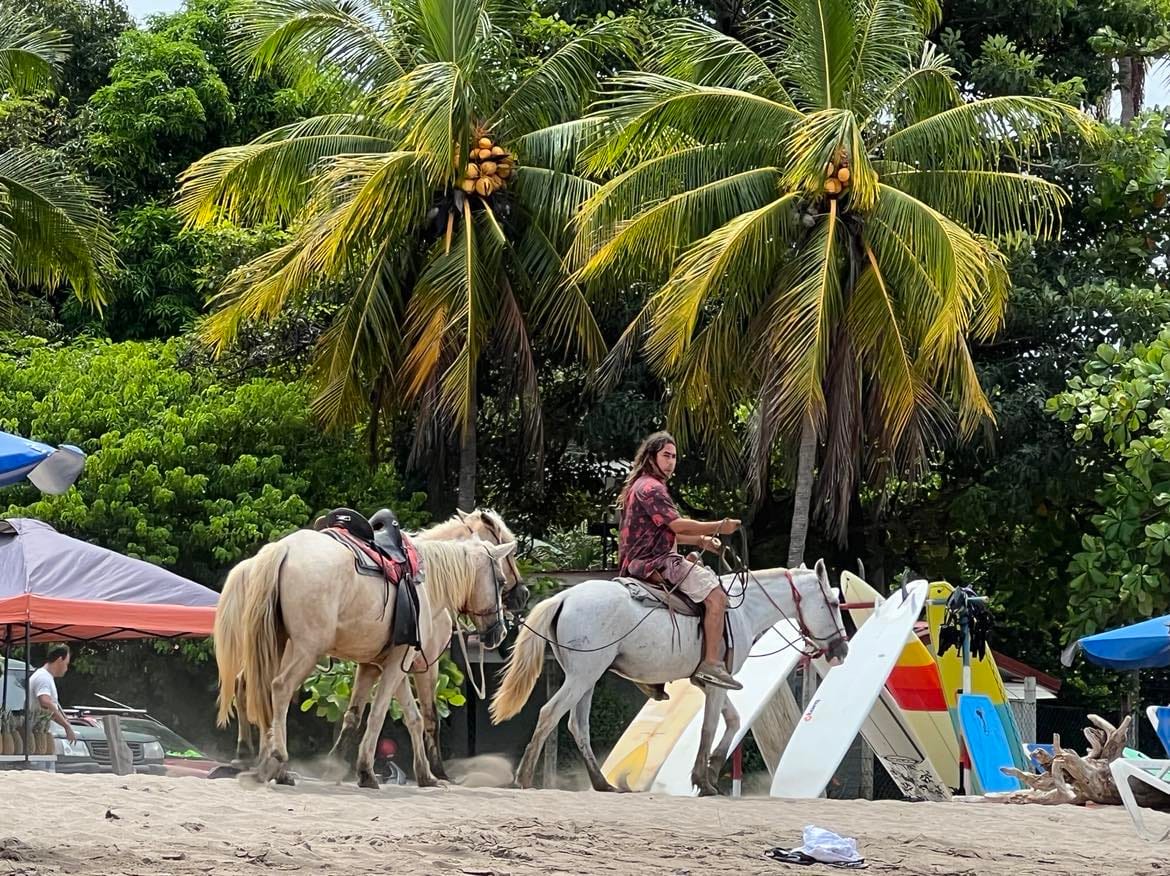 A man riding a horse on the beach with another horse next to him.