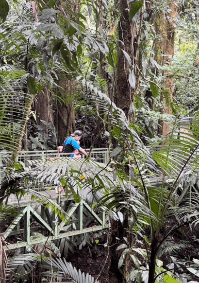 Dad pointing to show his kids a toucan that flew under the bridge in the rainforest.