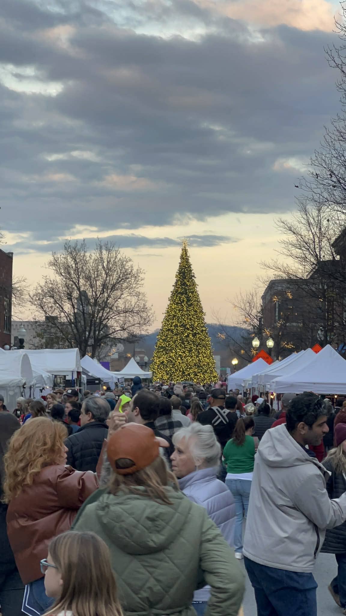 Downtown Franklin festival with hundreds of people filling the streets and the lit up Christmas tree in the background.