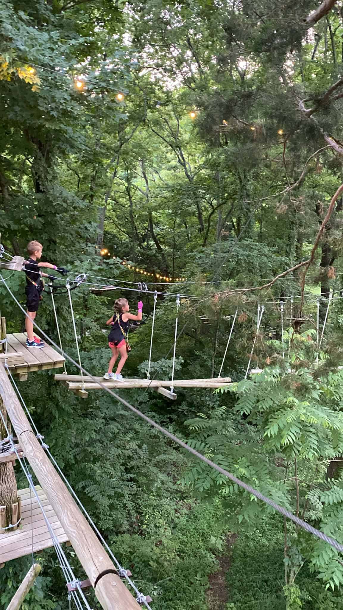 Two kids walking across planks high in the trees.