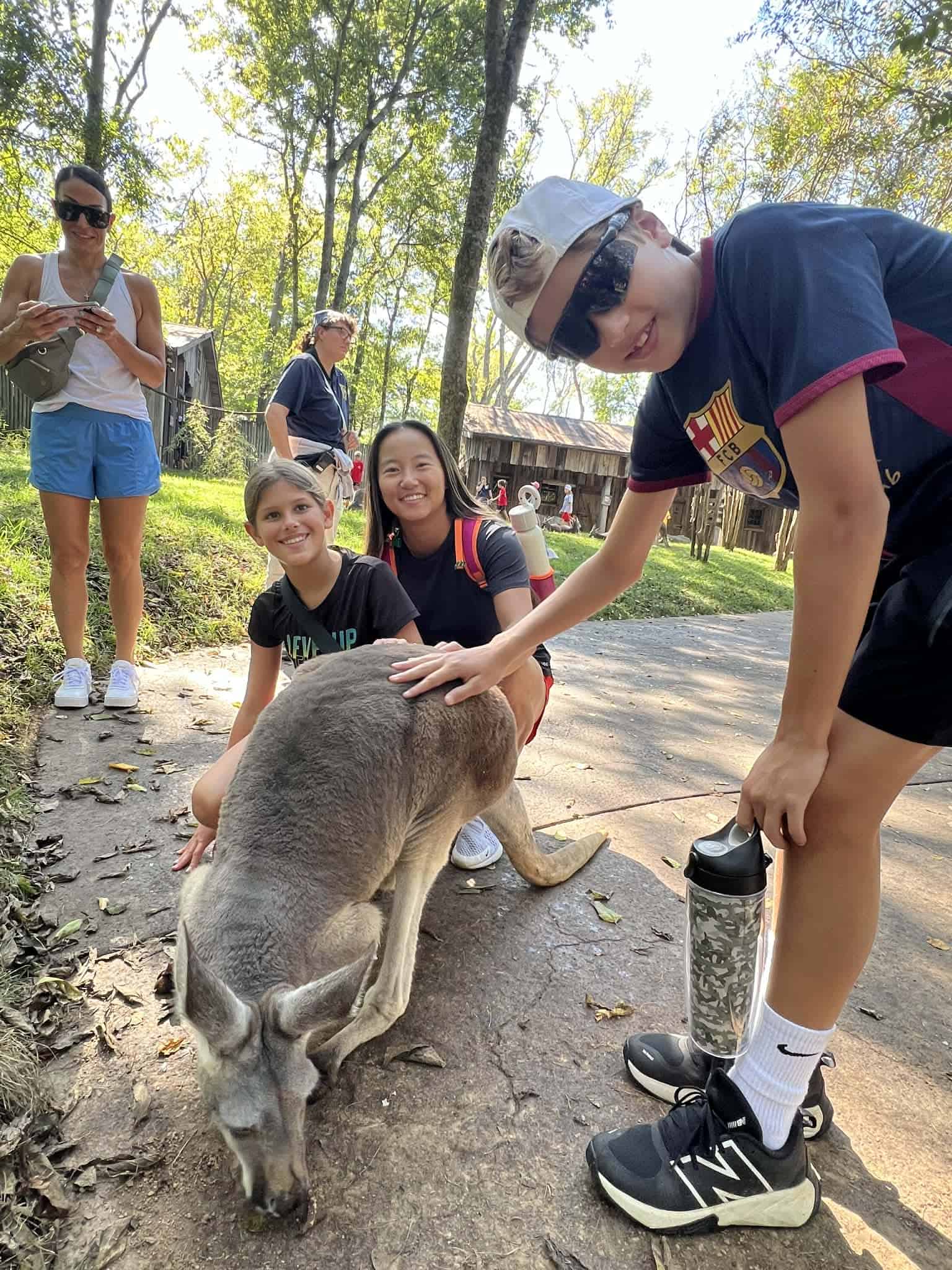 A boy petting a kangaroo at the Nashville zoo.