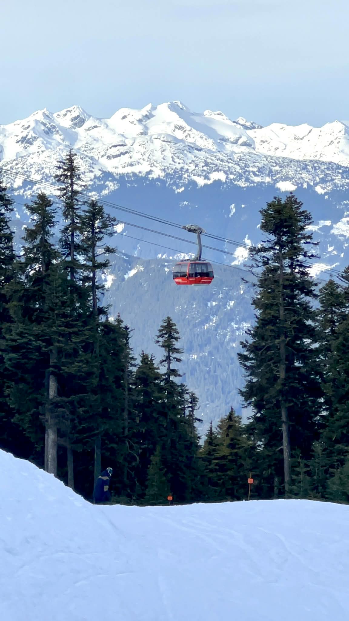 A picture of a red gondola that is in between the trees with white snow capped mountains behind it.