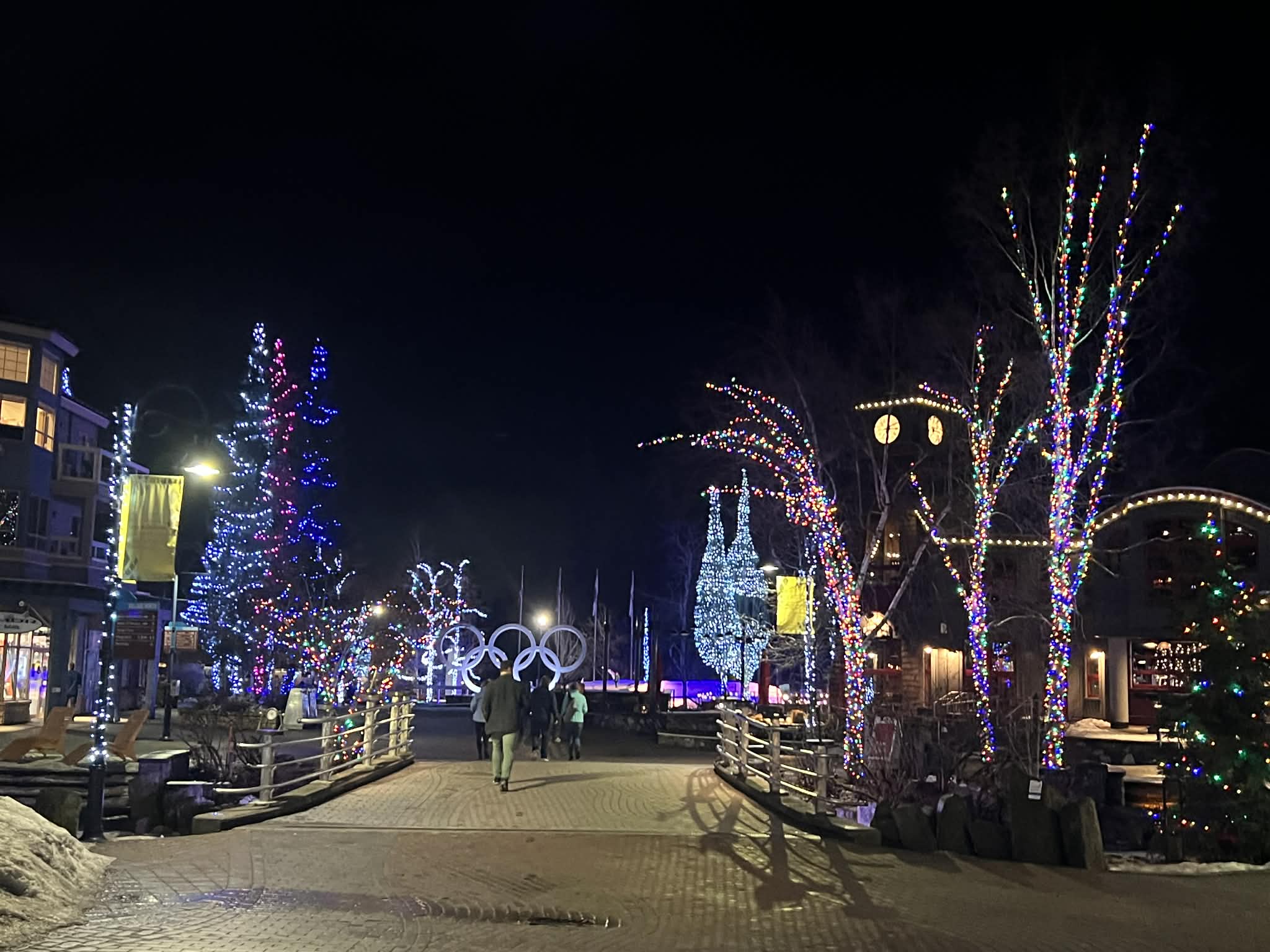 A picture of the village of Whistler where trees are all lit up in multi-colored lights.
