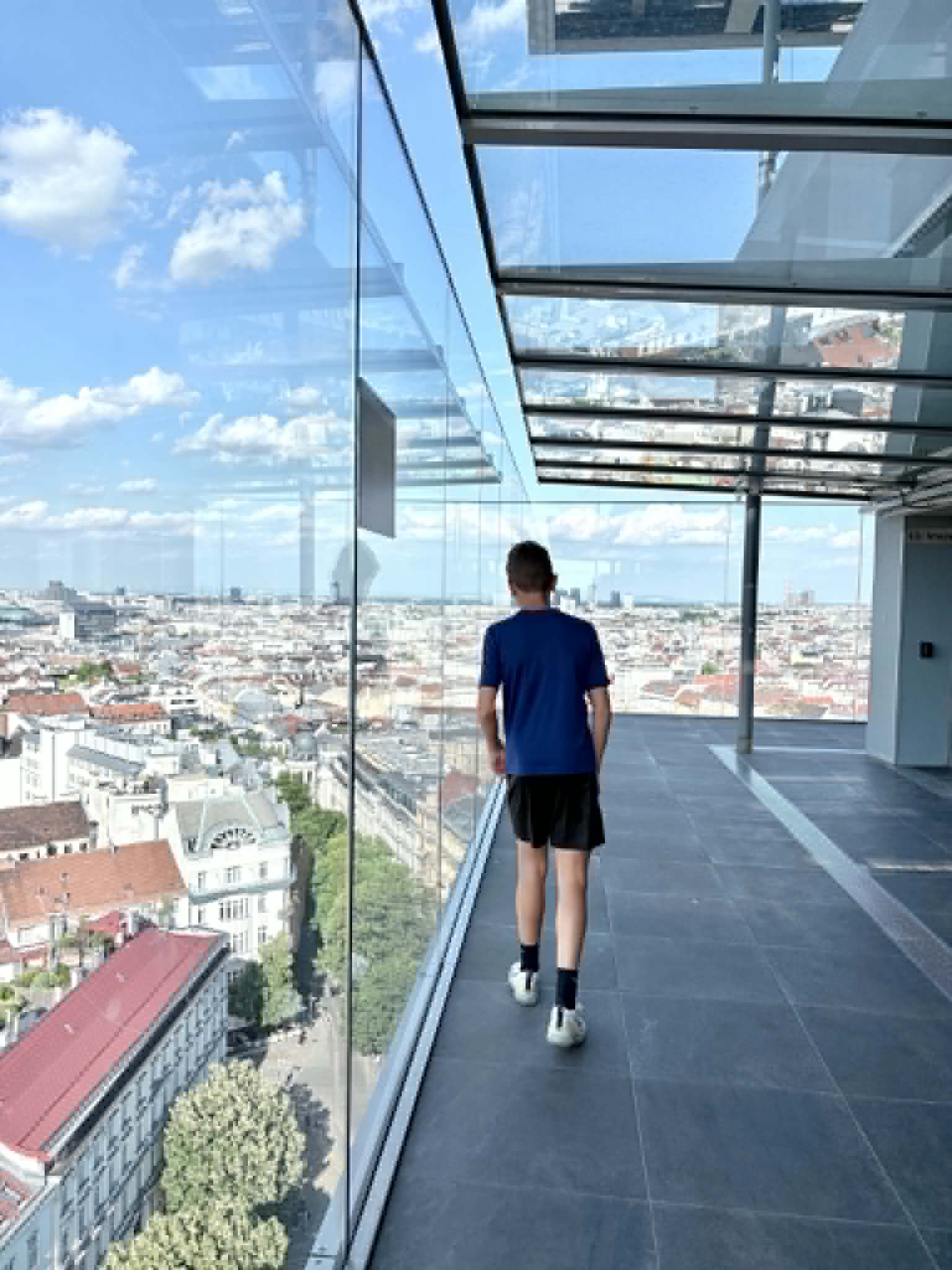 Boy walking, city of Vienna in the background.