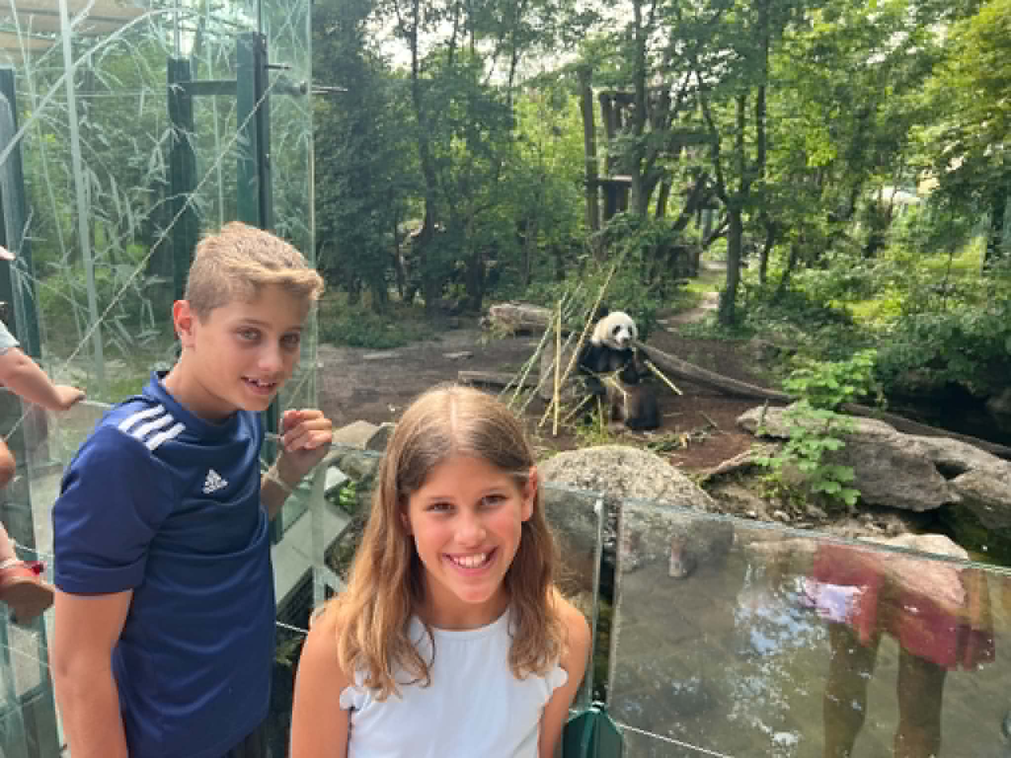 Kids in front, panda eating bamboo in the back.