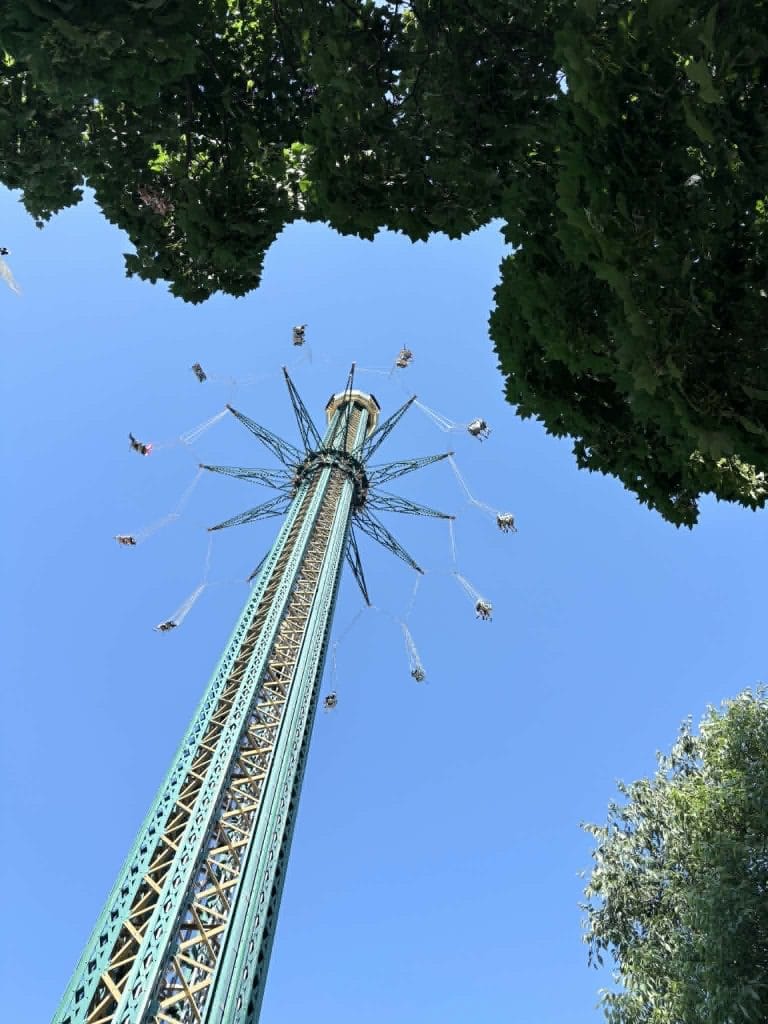 Picture looking up at the swings.