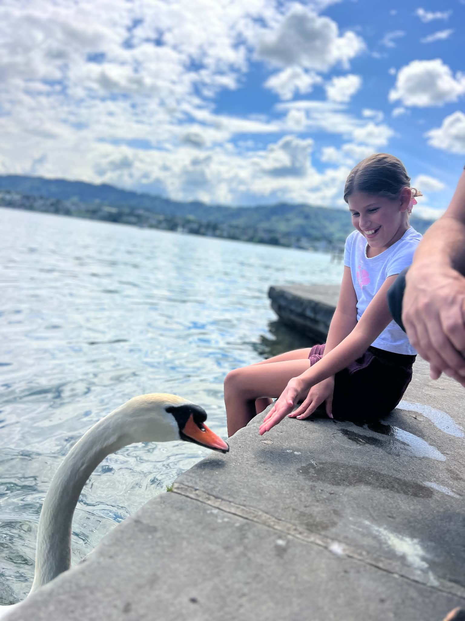 A little girl playing with a swan in Lake Zurich.